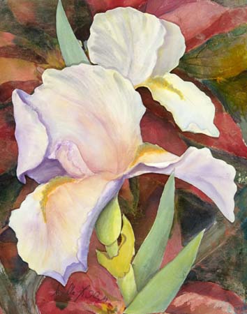 Iris Fantasy